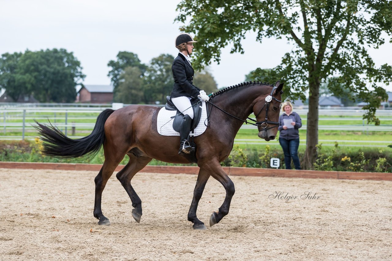 Bild 654 - Fuchshof Turnier